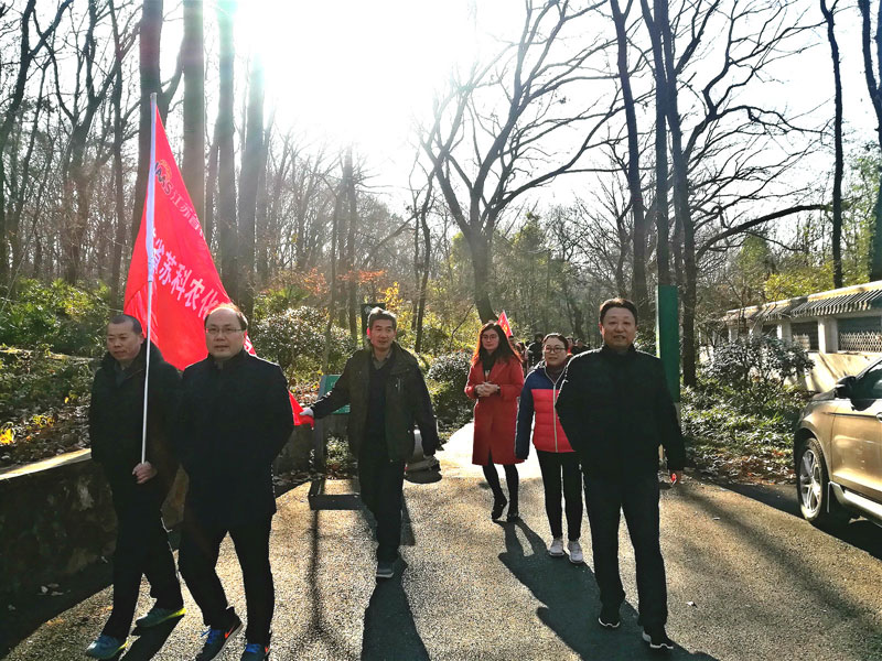 慶元旦  迎新年